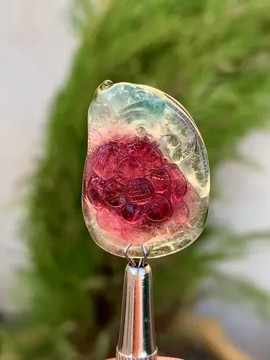 specimen video