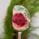 specimen video