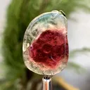 Polished Flower Shape Watermelon Tourmaline Carving from Afghanistan - image 6