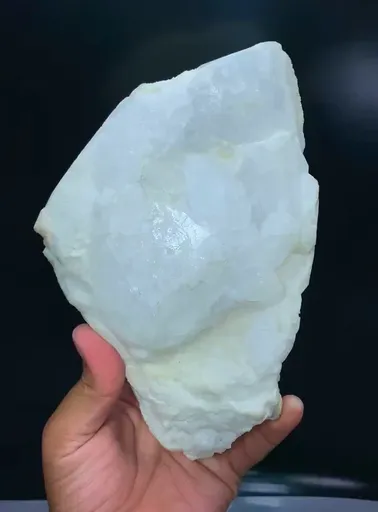 specimen video