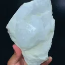 specimen video