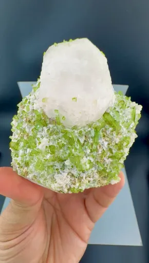 specimen video