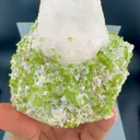 specimen video