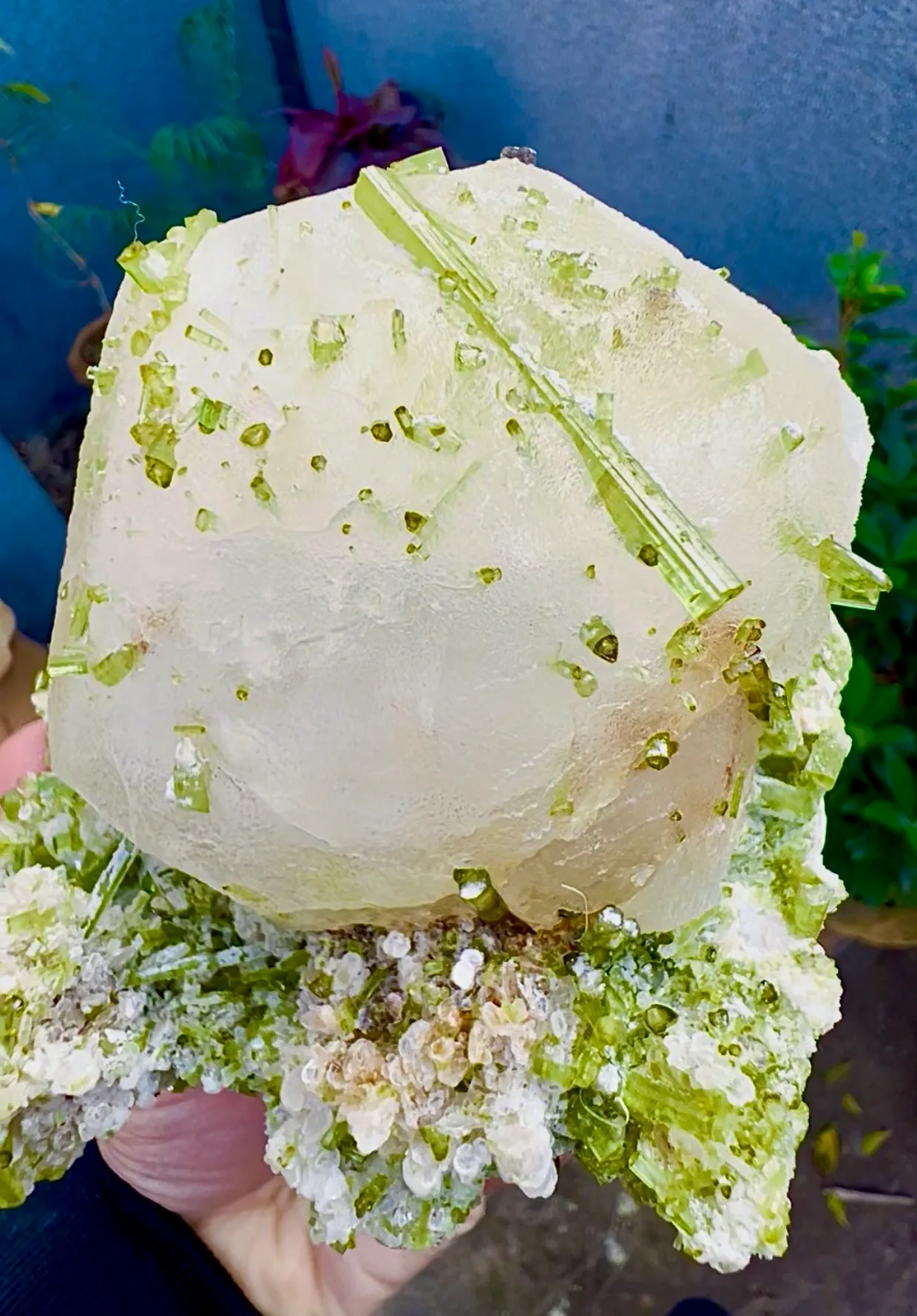 Pollucite from Pakistan, Gilgit-Baltistan, Shigar District, Braldu Valley, Chhappu - image 6