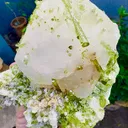 Pollucite from Pakistan, Gilgit-Baltistan, Shigar District, Braldu Valley, Chhappu - image 7