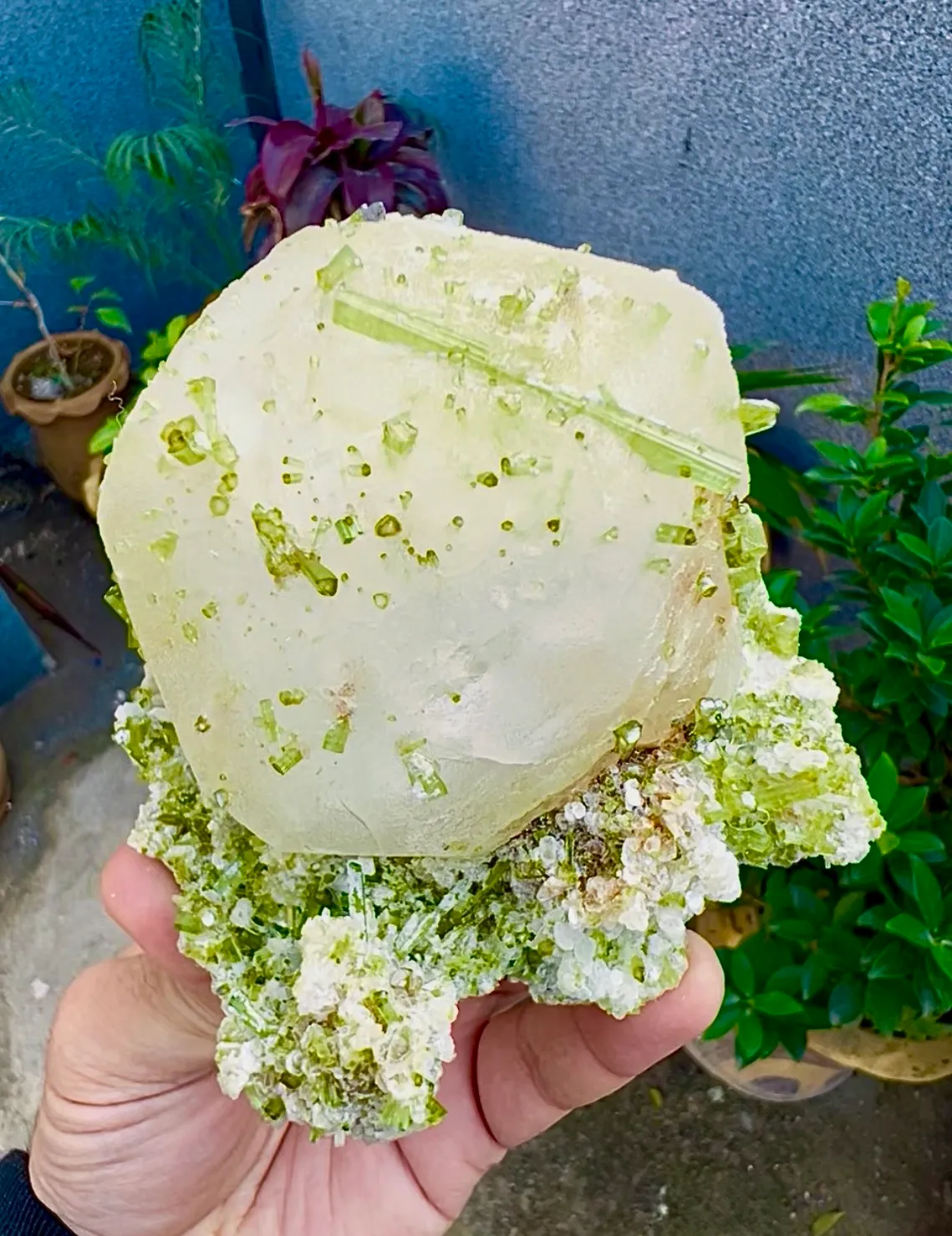 Pollucite from Pakistan, Gilgit-Baltistan, Shigar District, Braldu Valley, Chhappu - image 2