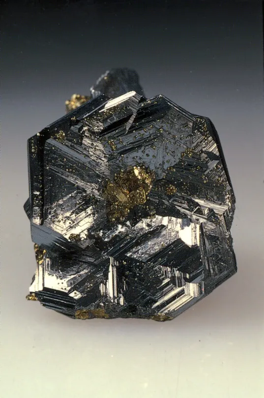 Polybasite, Las Chispas Mine, Arizpe, Sonora, Mexico. image