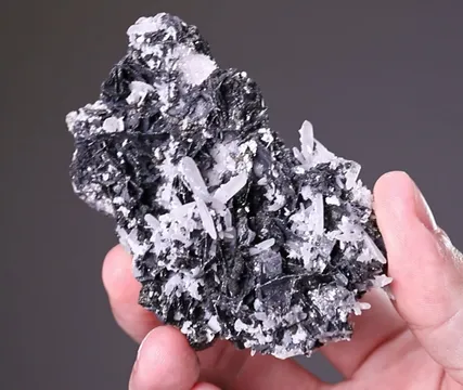 Polybasite with Quartz