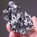 Polybasite with Quartz - image 2