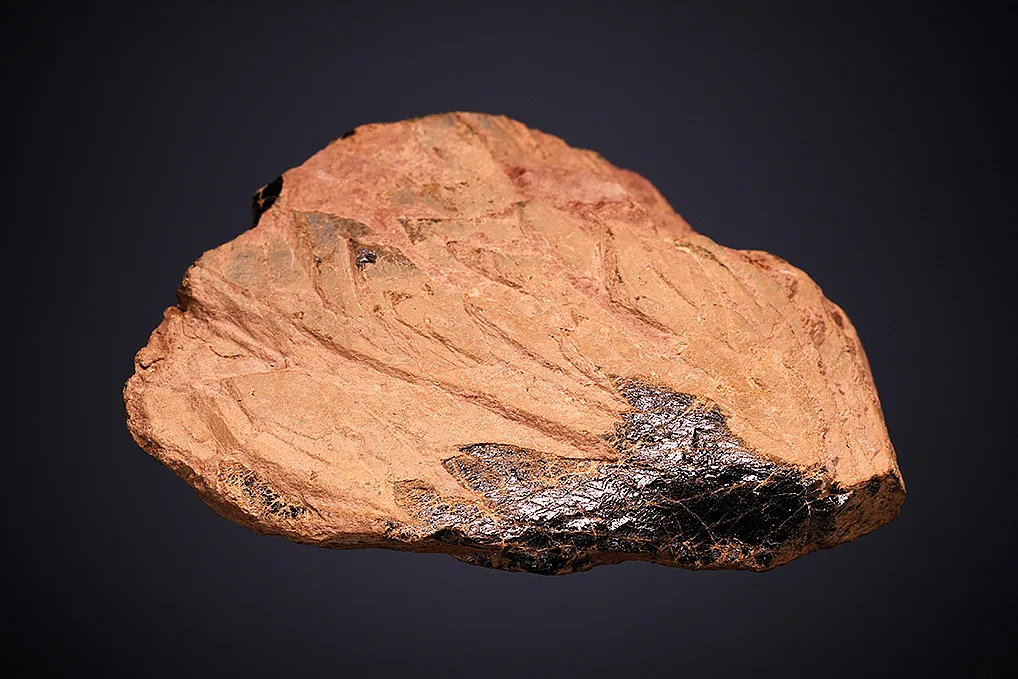 Polycrase-(Y) - image 4
