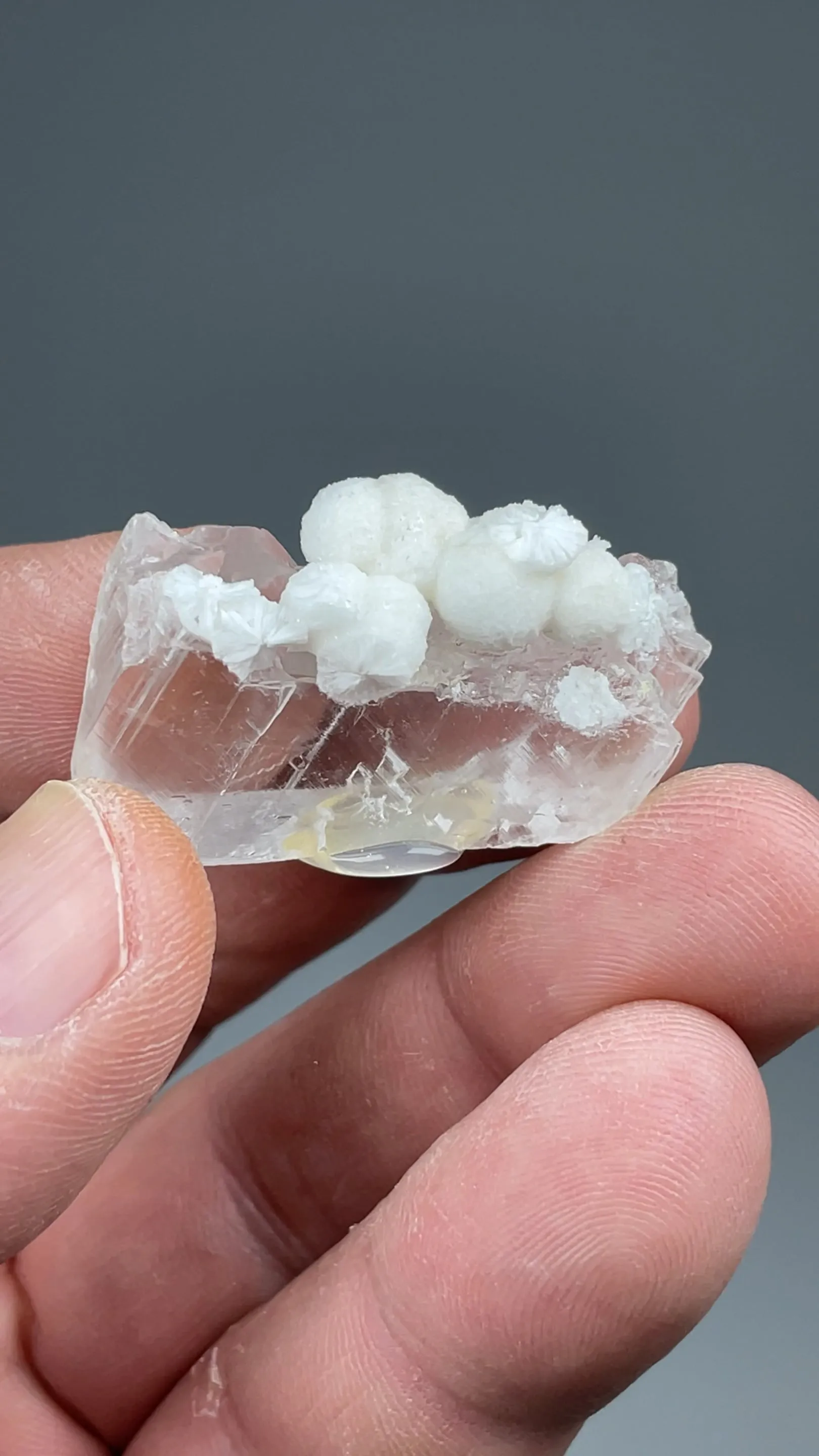 Polyhalite with Gypsum - image 2