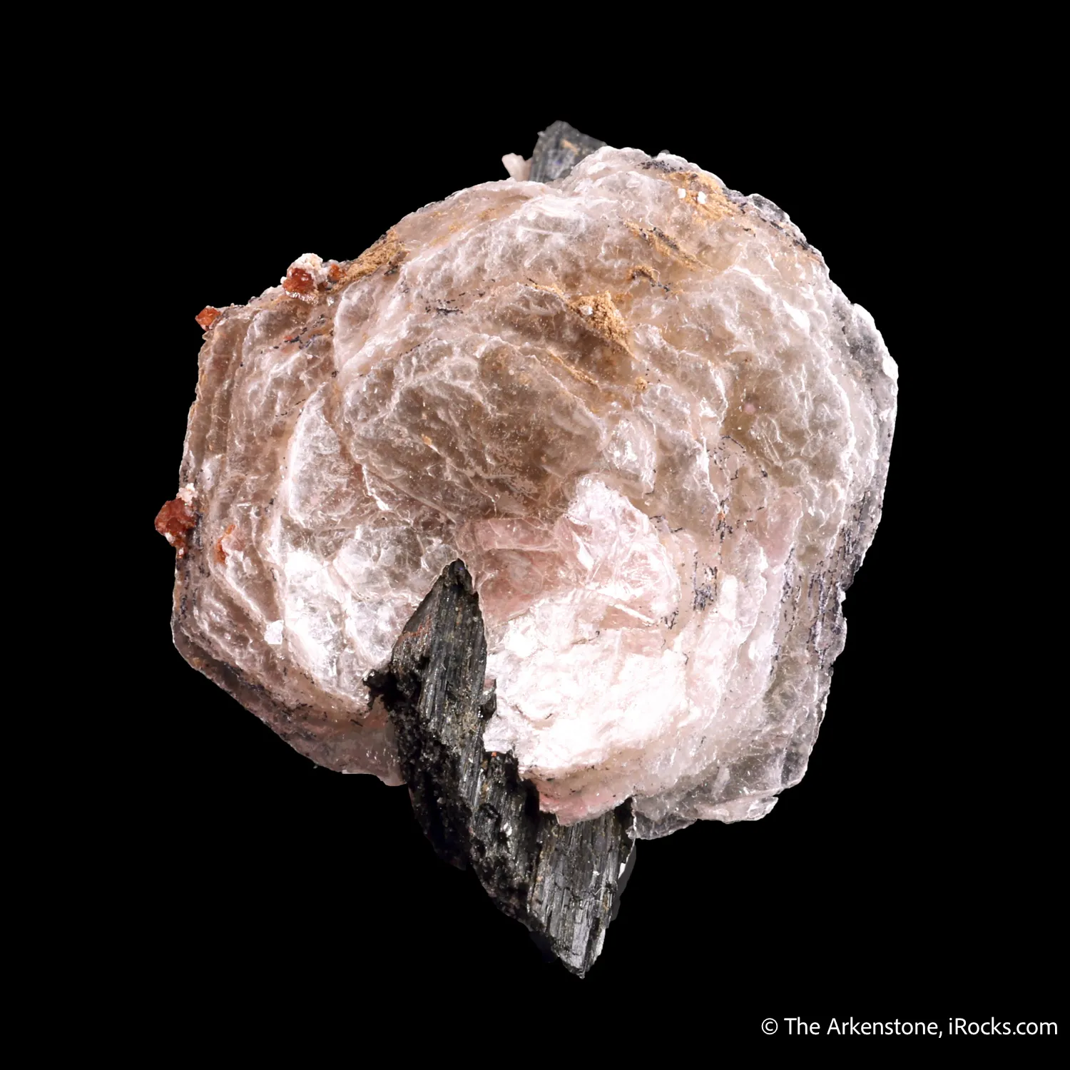 Polylithionite on Aegirine - image 1