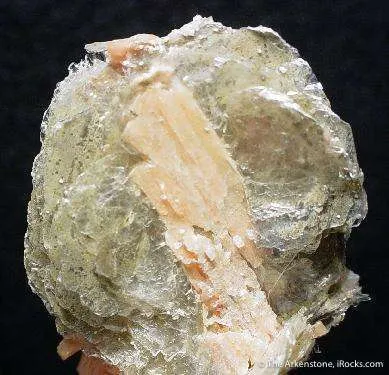 Polylithionite on Serandite - image 2