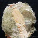 Polylithionite on Serandite - image 2