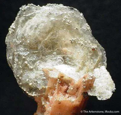 Polylithionite on Serandite - image 2