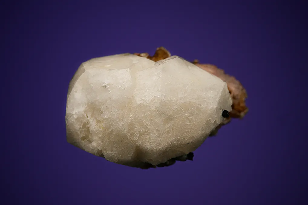Polylithionite, Serandite and Aegirine on Analcime - image 4