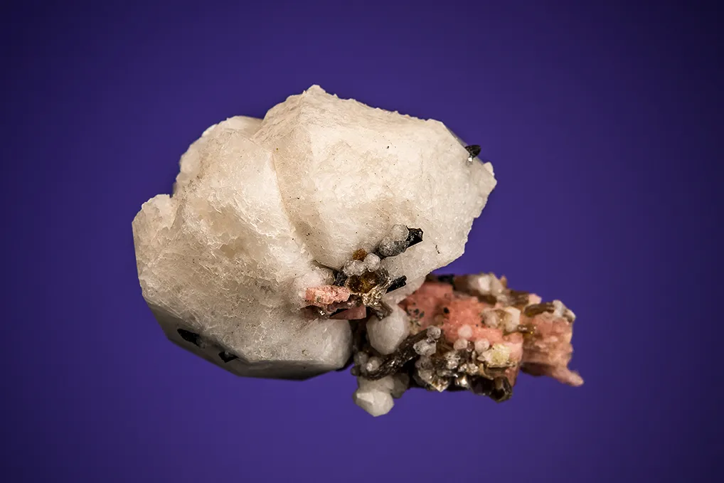 Polylithionite, Serandite and Aegirine on Analcime - image 2