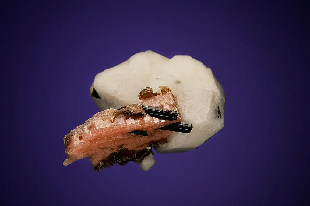 Polylithionite, Serandite and Aegirine on Analcime - image 5