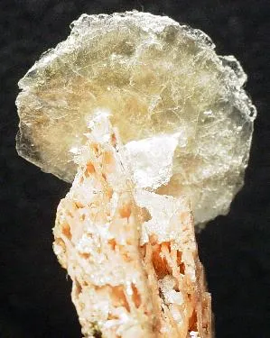 Polylithionite, Serandite - image 1