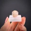 Poudretteite - image 2