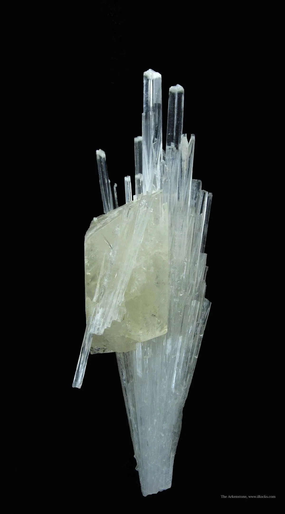Powellite (Fluorescent) and Apophyllite on Scolecite - image 3