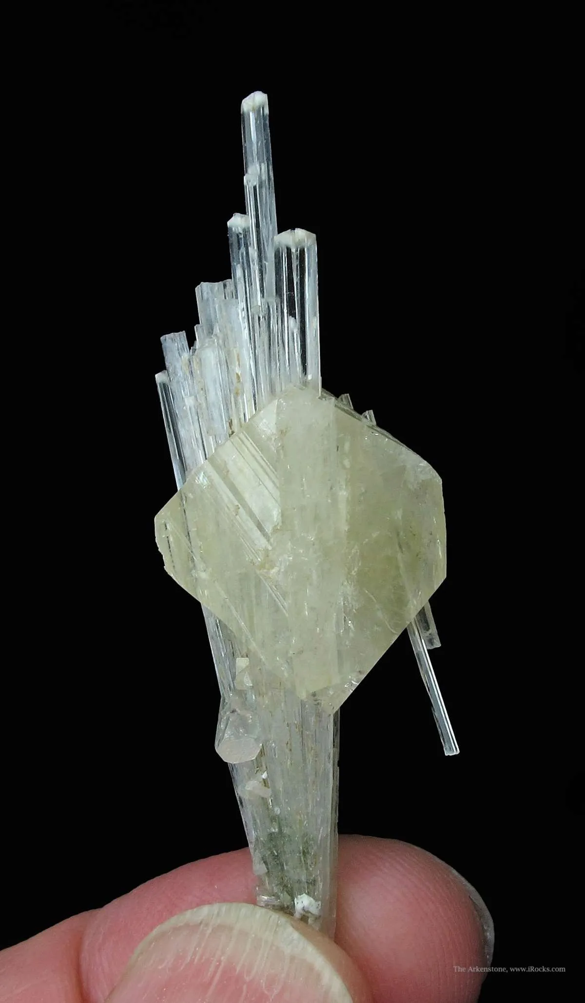 Powellite (Fluorescent) and Apophyllite on Scolecite - image 4