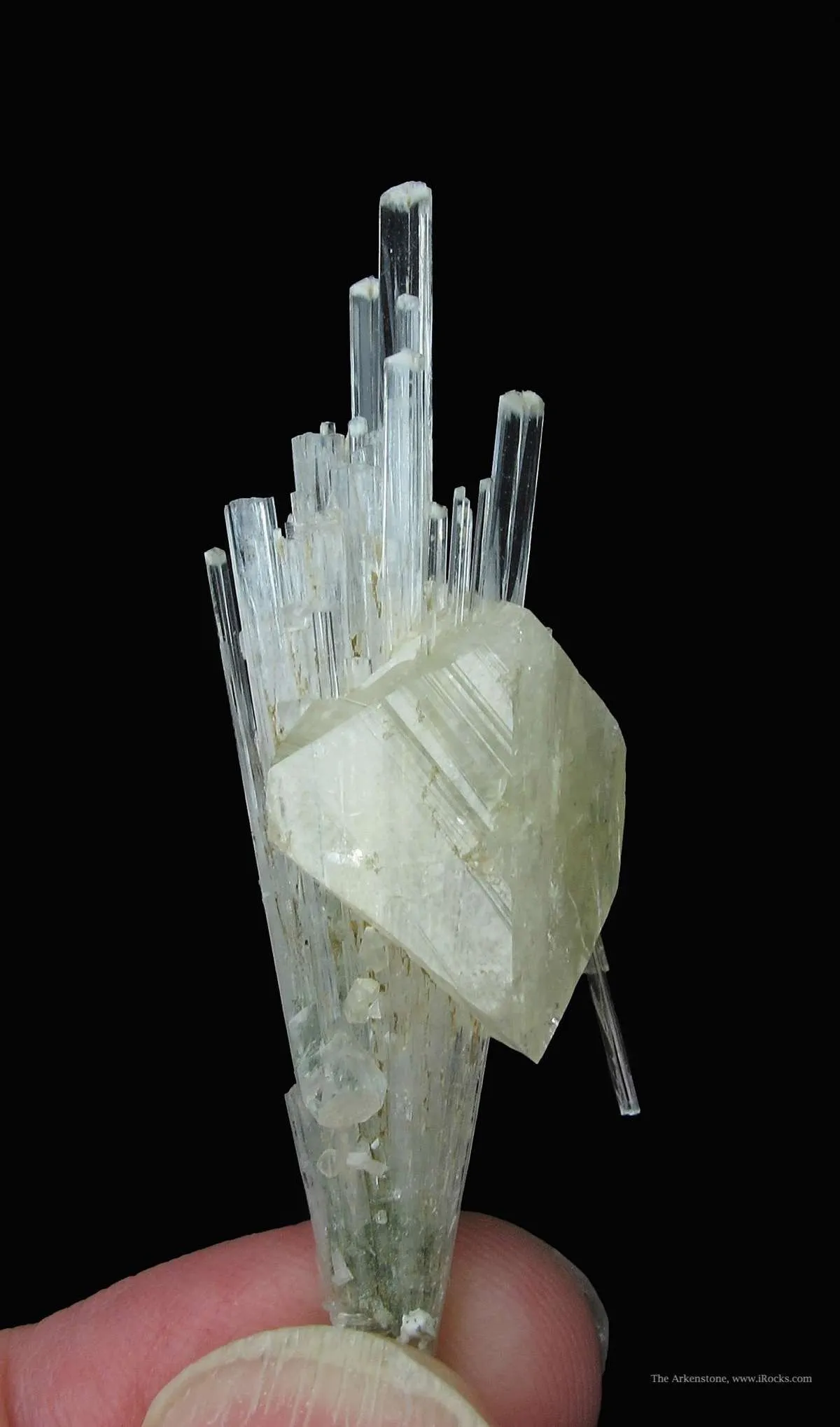 Powellite (Fluorescent) and Apophyllite on Scolecite - image 2