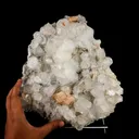 Powellite Fluorescent on Apophyllite  Natural Mineral Specimen - image 5