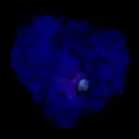 Powellite Fluorescent on Apophyllite  Natural Mineral Specimen - image 9