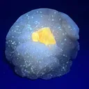 Powellite from Nashik, Nashik District, Nashik Division, Maharashtra, India - image 1