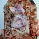specimen video