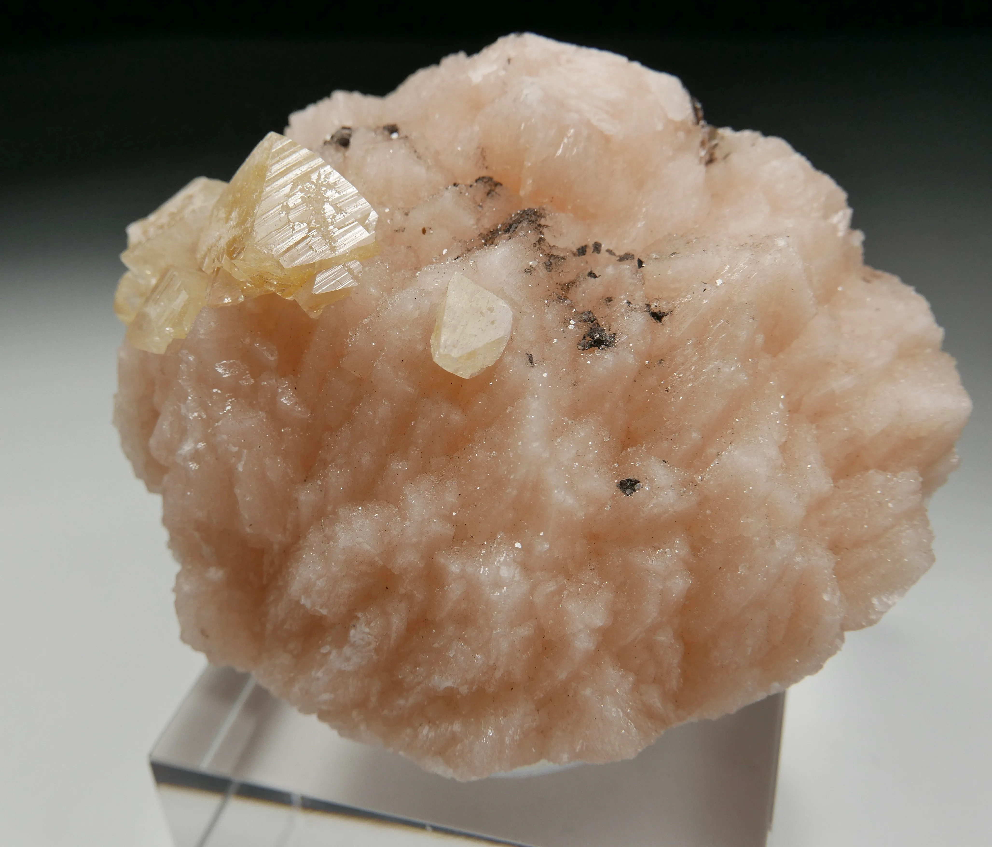 Powellite on Heulandite - image 1