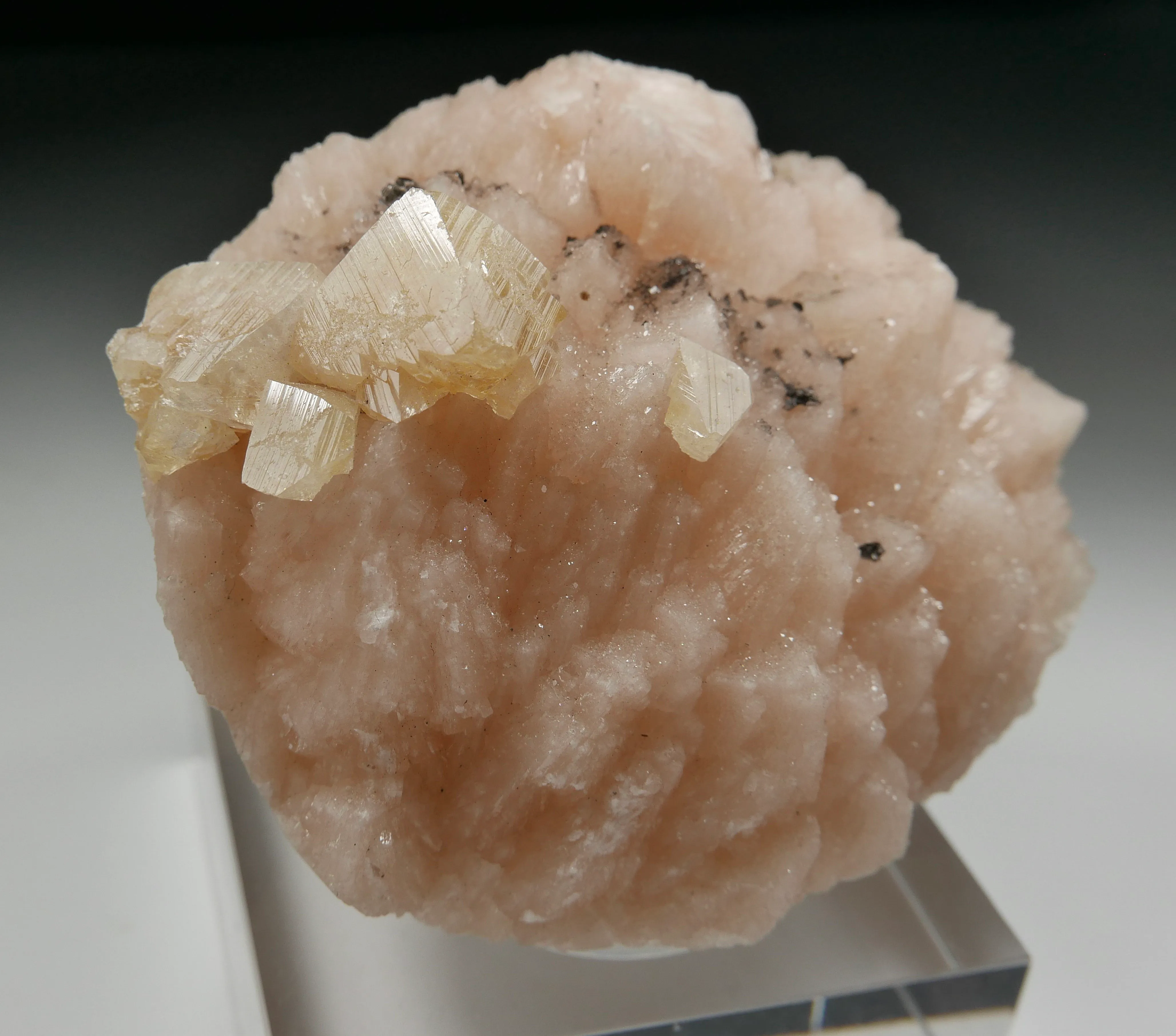 Powellite on Heulandite - image 4