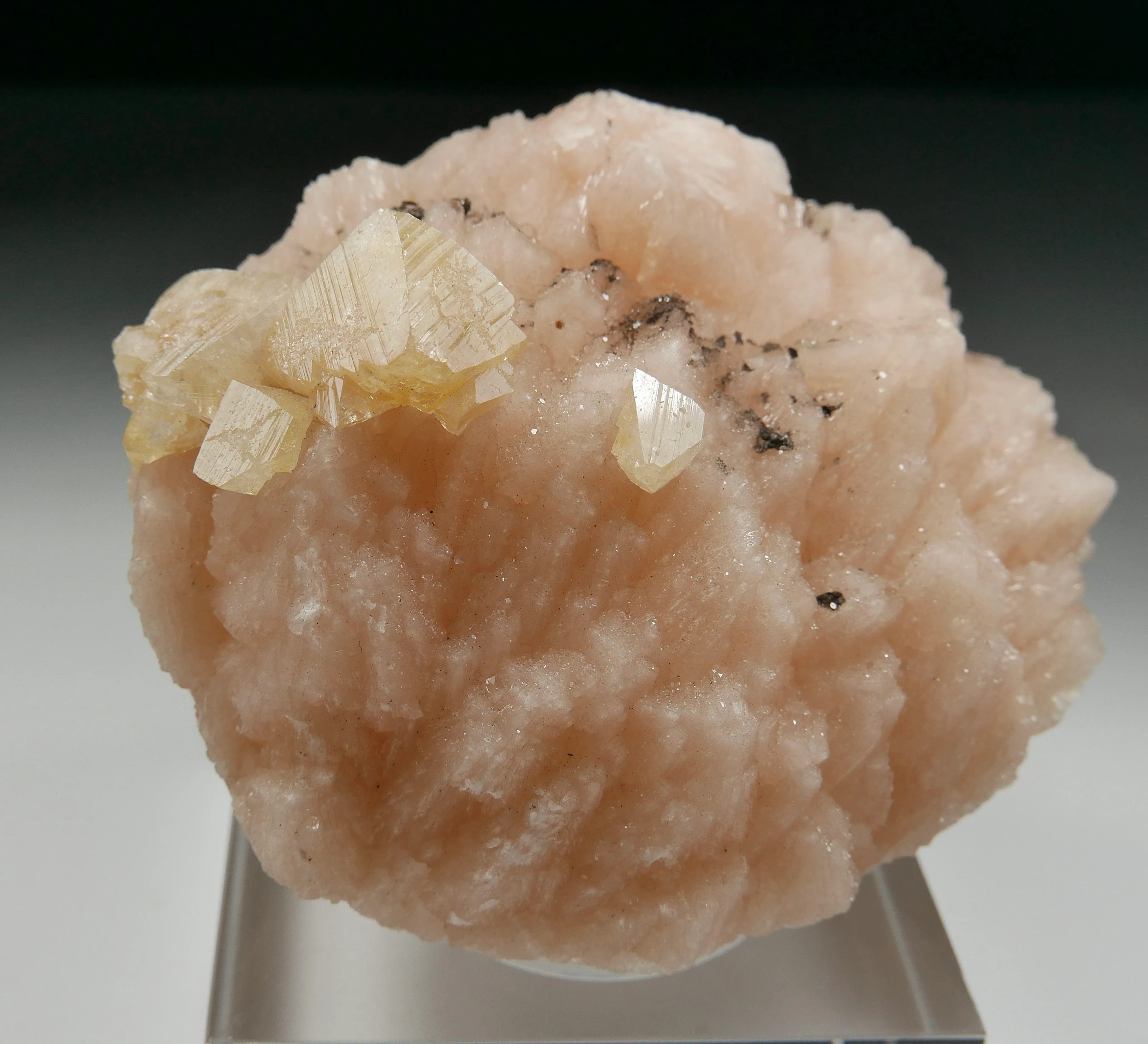Powellite on Heulandite - image 3