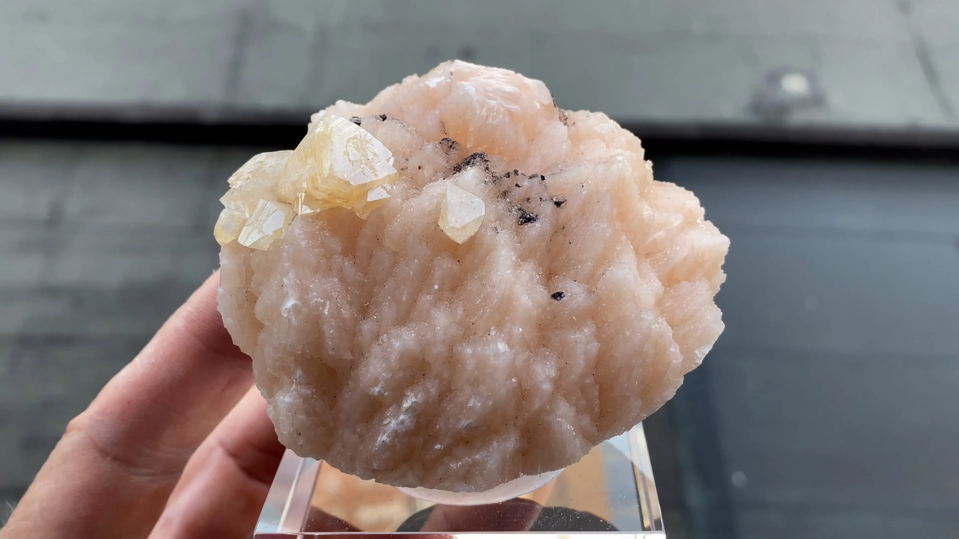 Powellite on Heulandite - image 5