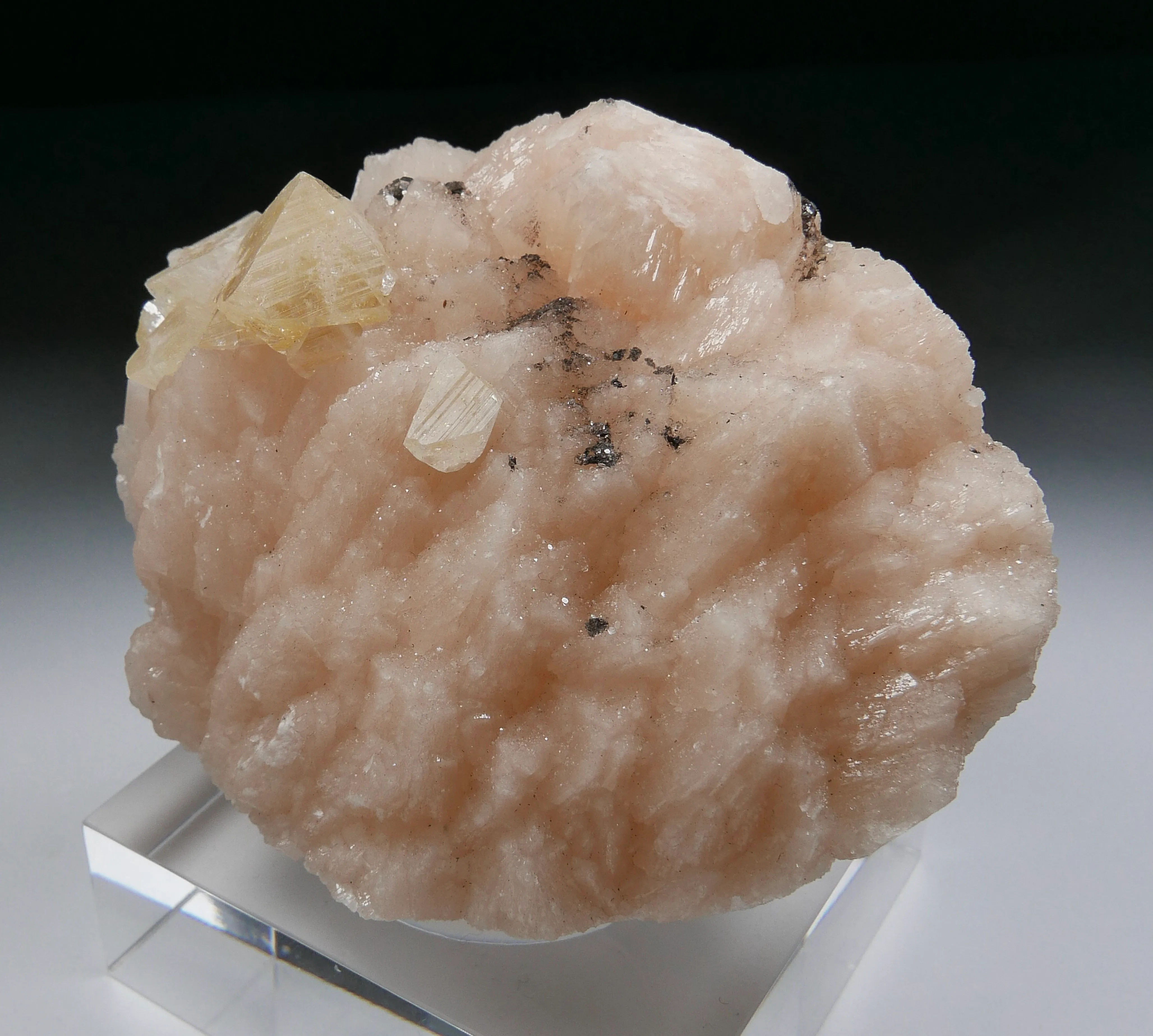 Powellite on Heulandite - image 2
