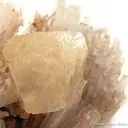 Powellite on Scolecite - image 2