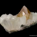 Powellite on Stilbite - image 5