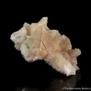 Powellite on Stilbite - image 5