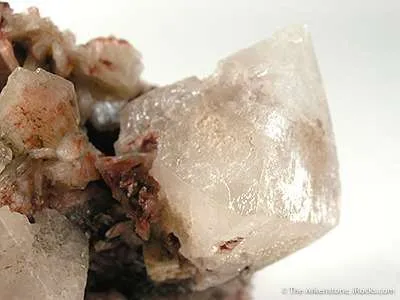 Powellite on Stilbite - image 2