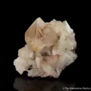 Powellite on Stilbite - image 3