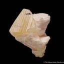 Powellite on Stilbite - image 1