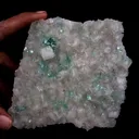 Powellite Rare Find with Green Apophyllite Natural Mineral Specimen - image 4