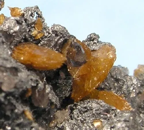 Powellite, Scorodite - image 3