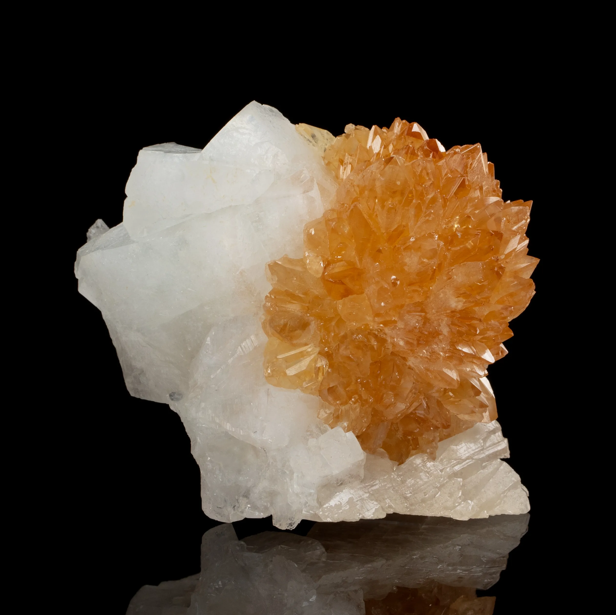 Powellite with Apophyllite - image 2