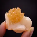 Powellite with Apophyllite and Stilbite - image 1