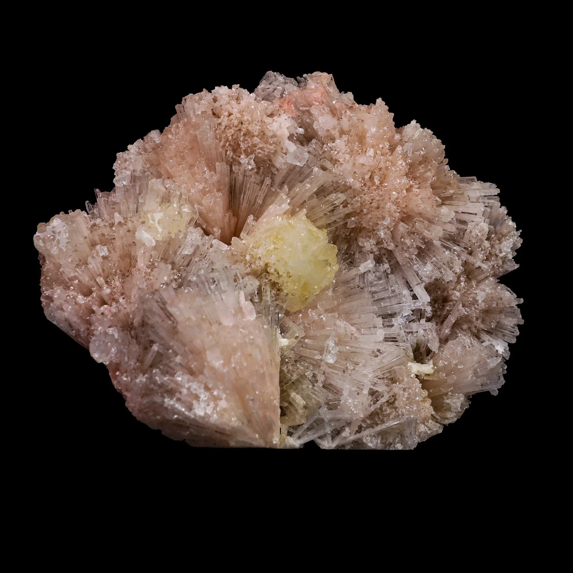 Powellite with Pink Scolecite Rare Find Natural Mineral Specimen - image 2