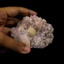 Powellite with Pink Scolecite Rare Find Natural Mineral Specimen - image 4