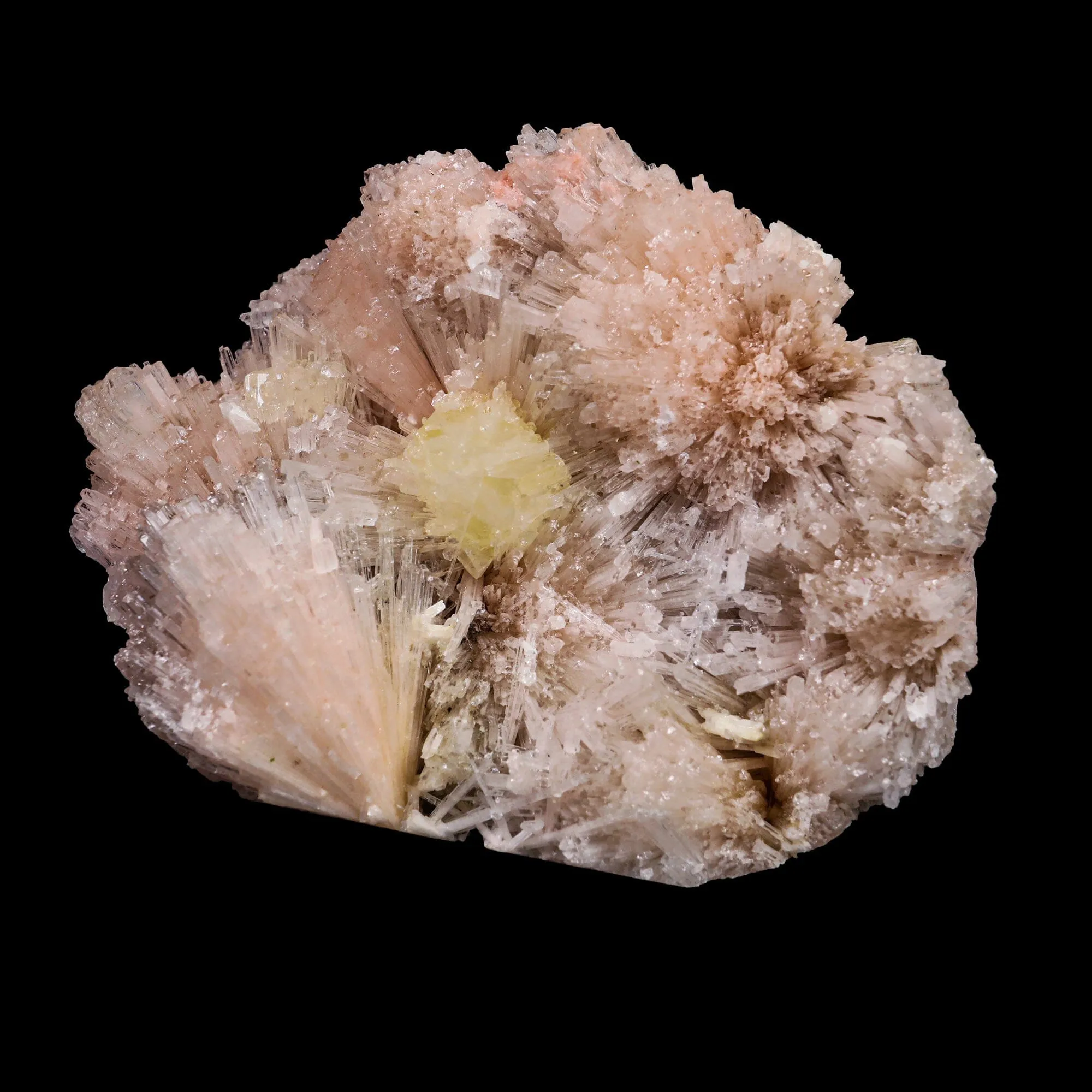 Powellite with Pink Scolecite Rare Find Natural Mineral Specimen - image 3