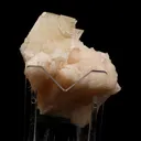 Powellite with Stilbite Rare Find Natural Mineral Specimen - image 4